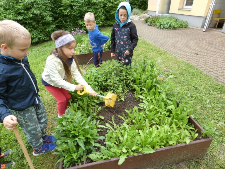 Ekologie – hrajeme si a pracujeme na zahradě