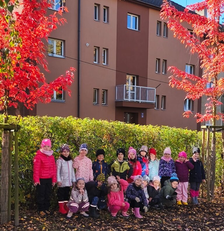 Listopad ve Slunečnici