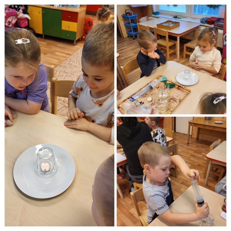 Pokusy v Sedmikrásce