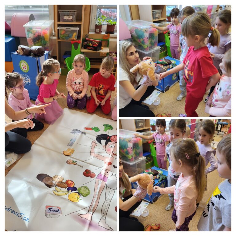 Projekt Zdravá 5 Sedmikráska