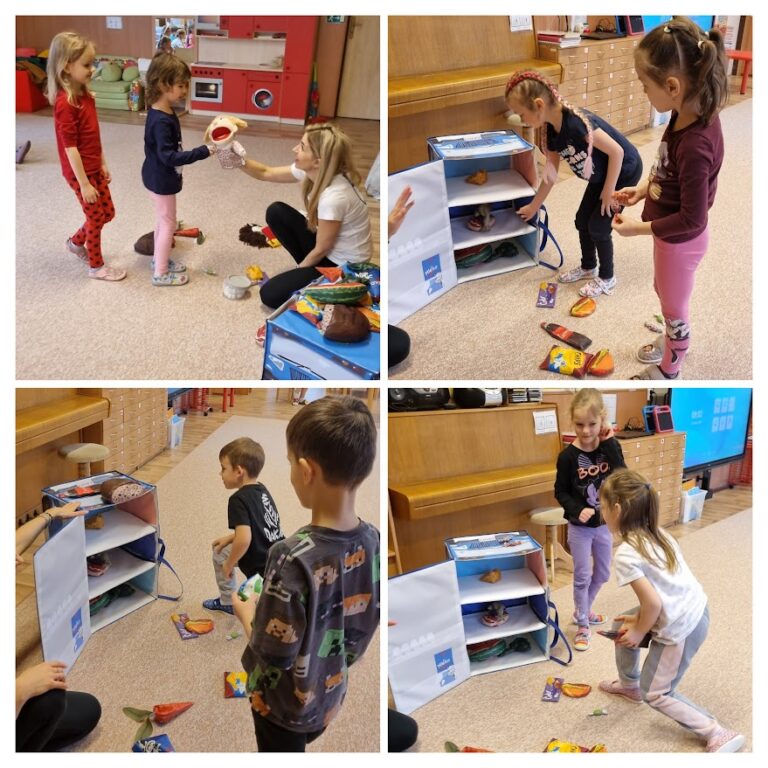 Projekt Zdravá 5 Slunečnice